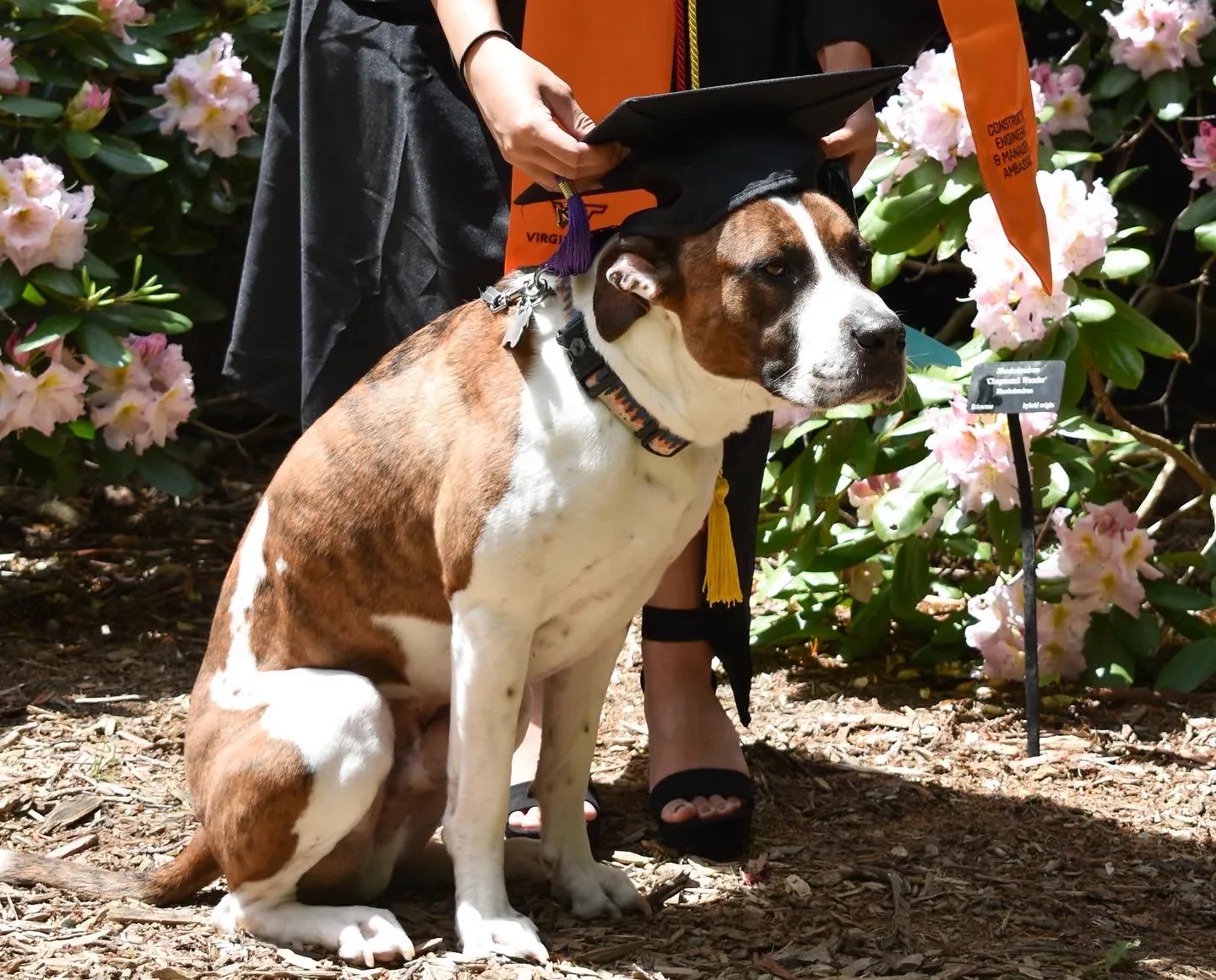 Hendrix at graduation